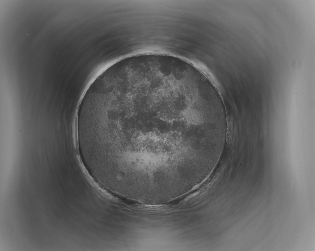 X0000112421295200908141403