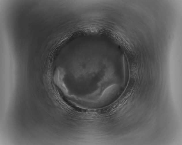 X0000112421297200908141402