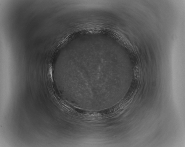 X0000112421298200908141402