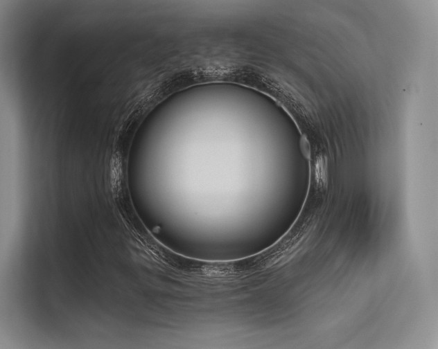 X0000112421299200908141402