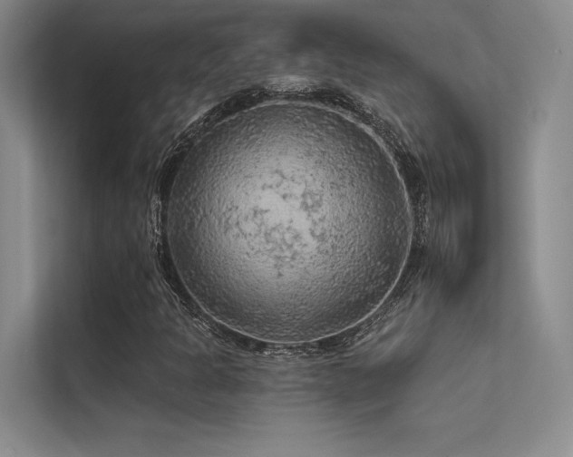 X0000112421301200908141402