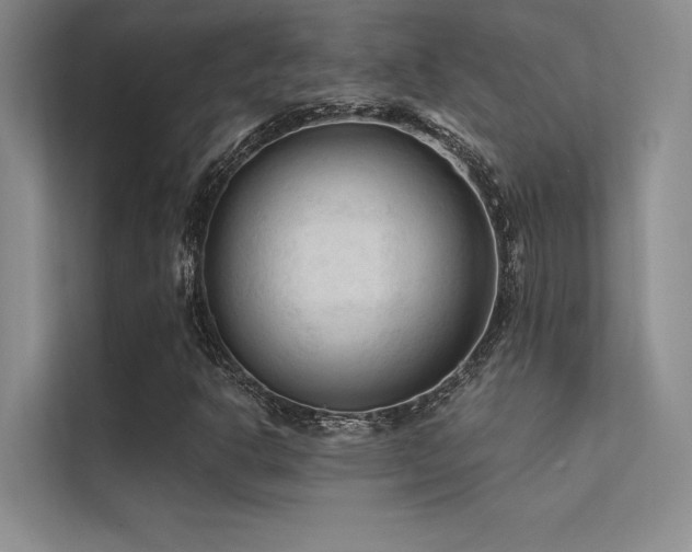 X0000112421302200908141402