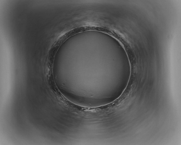 X0000112421303200908141402