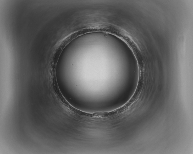 X0000112421304200908141402