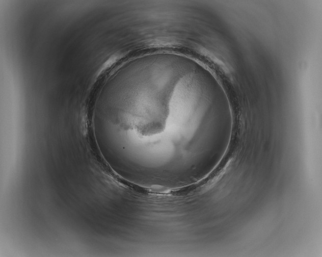 X0000112421306200908141403