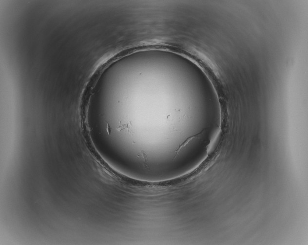 X0000112421308200908141403