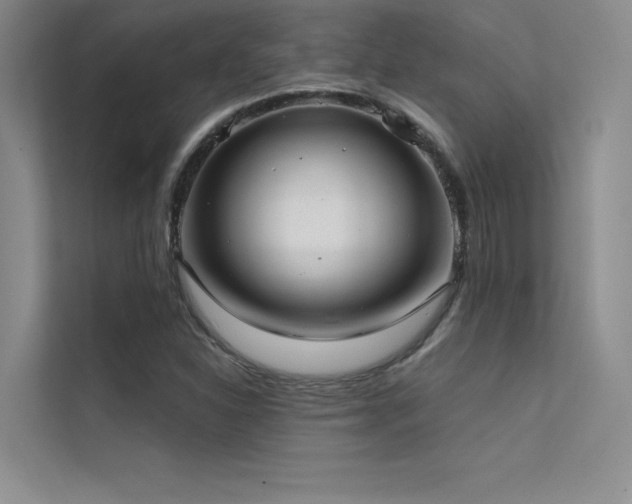 X0000112421310200908141403