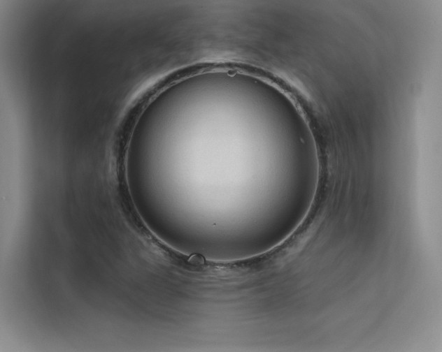 X0000112421311200908141403