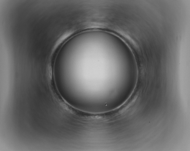 X0000112421317200908141403