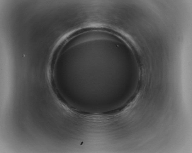 X0000112421319200908141403