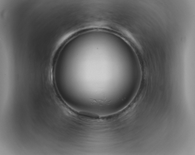 X0000112421320200908141403