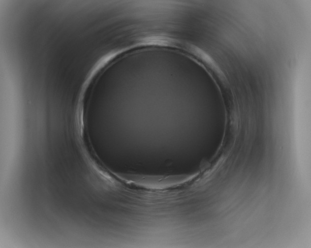 X0000112421323200908141403