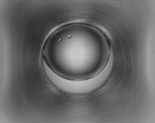 X0000112421324200908141403