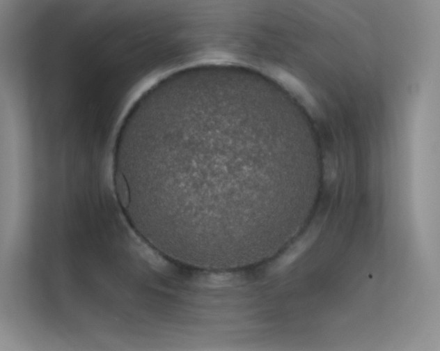 X0000112421326200908141403