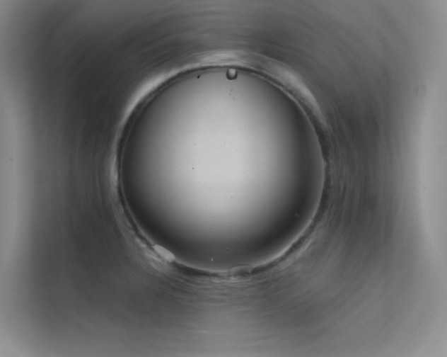 X0000112421328200908141403