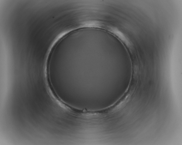 X0000112421331200908141403