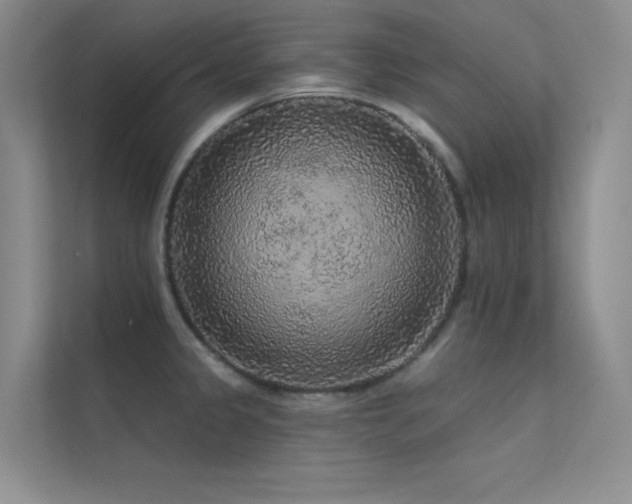 X0000112421333200908141403