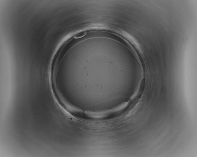 X0000112421334200908141403