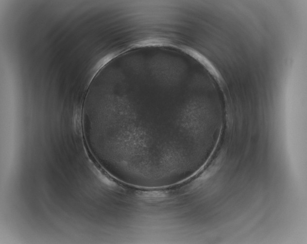 X0000112421337200908141403