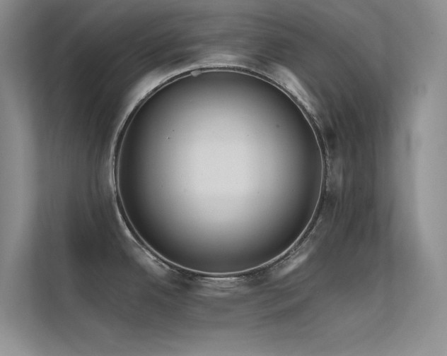 X0000112421342200908141403