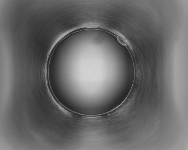 X0000112421343200908141403