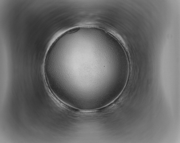 X0000112421344200908141403