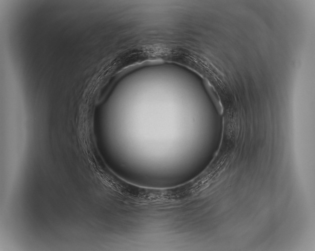 X0000112421345200908141402