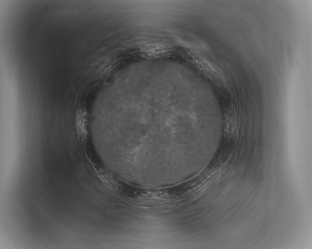 X0000112421346200908141402