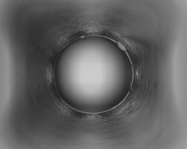 X0000112421348200908141402