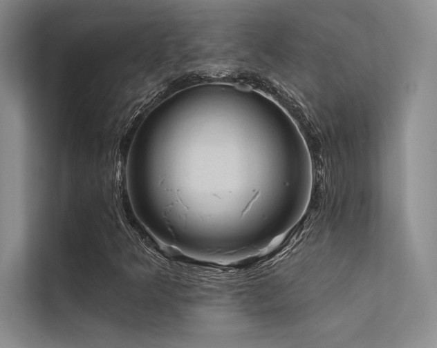 X0000112421349200908141402