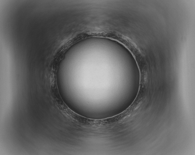 X0000112421350200908141402