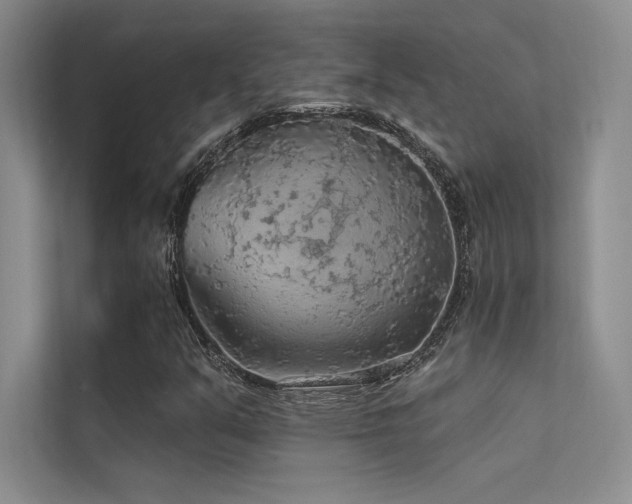 X0000112421351200908141402