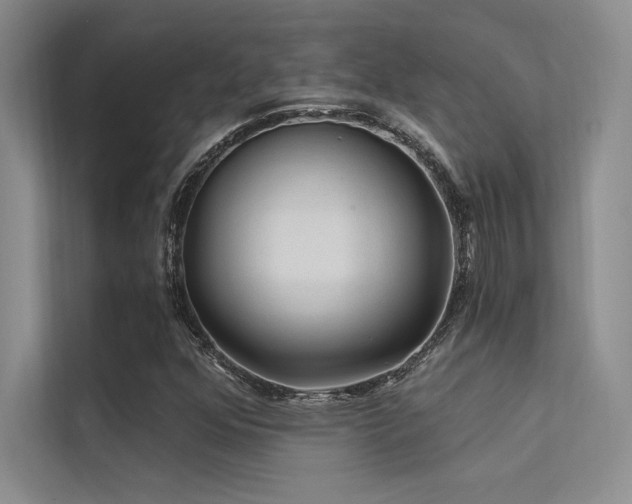X0000112421352200908141402