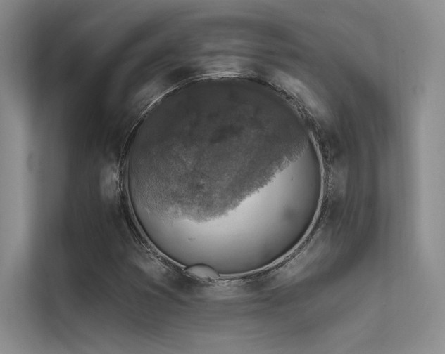 X0000112421353200908141402