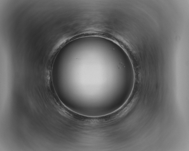 X0000112421355200908141402