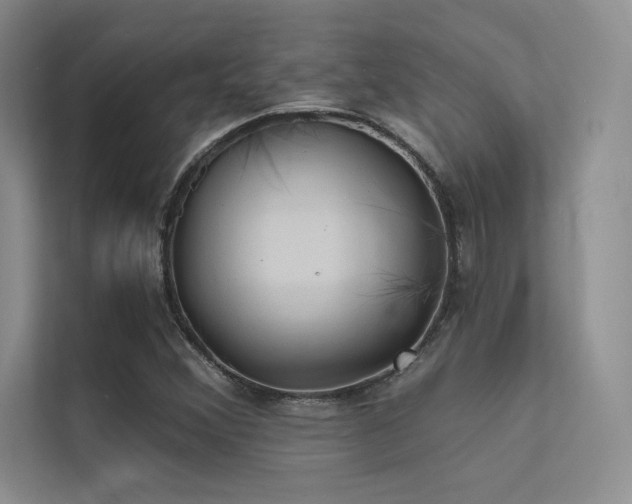 X0000112421356200908141402