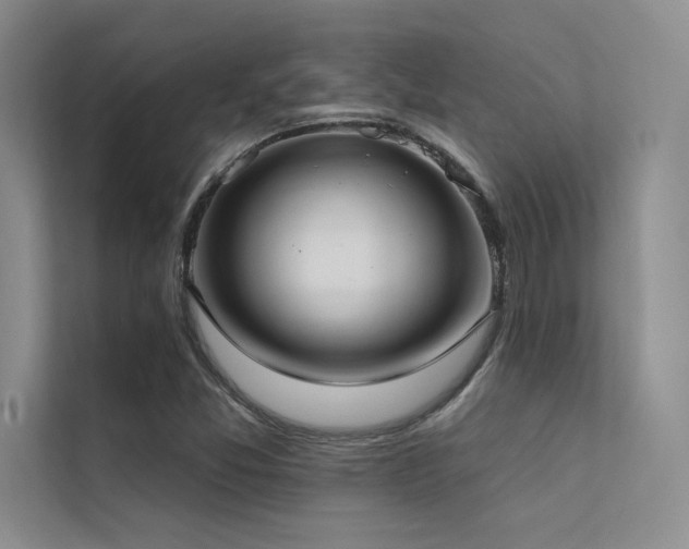 X0000112421357200908141402