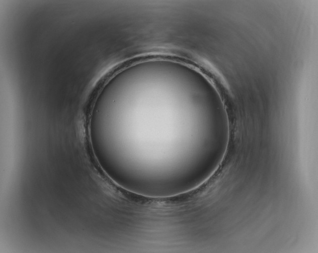 X0000112421360200908141402