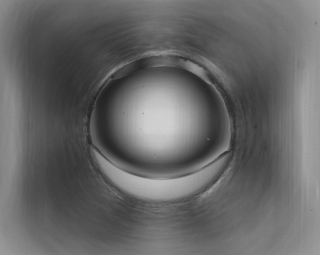 X0000112421361200908141402