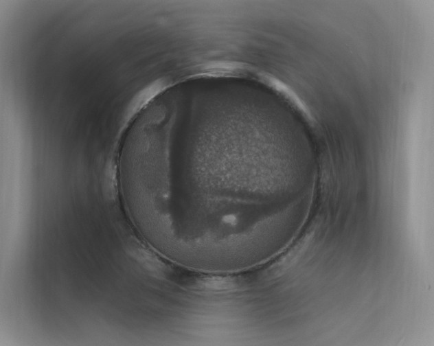 X0000112421362200908141402