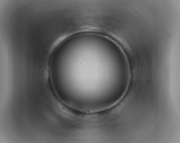 X0000112421363200908141402