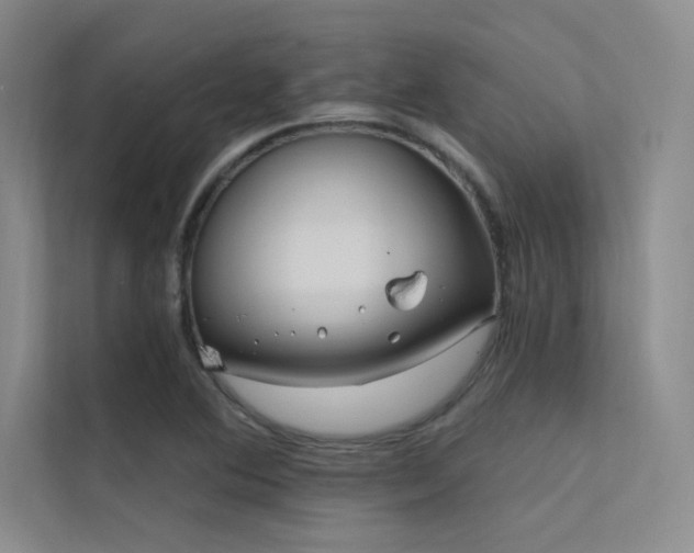 X0000112421364200908141402