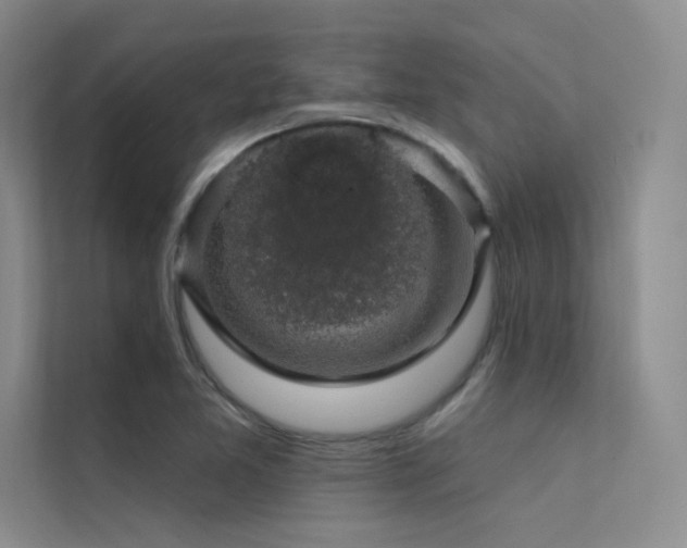X0000112421365200908141402