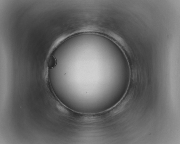X0000112421366200908141402