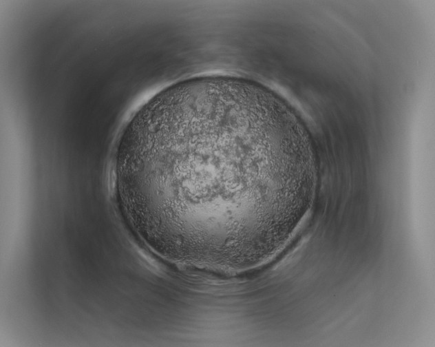 X0000112421367200908141402