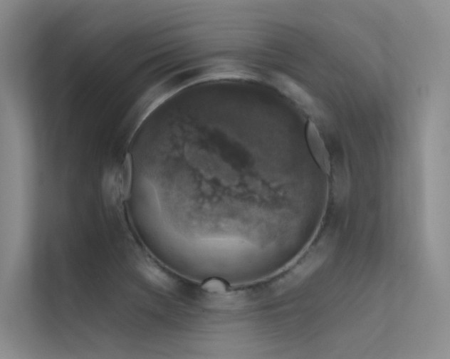 X0000112421369200908141402