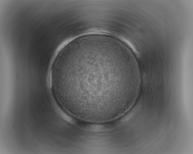 X0000112421371200908141402