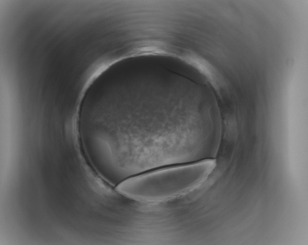 X0000112421373200908141402