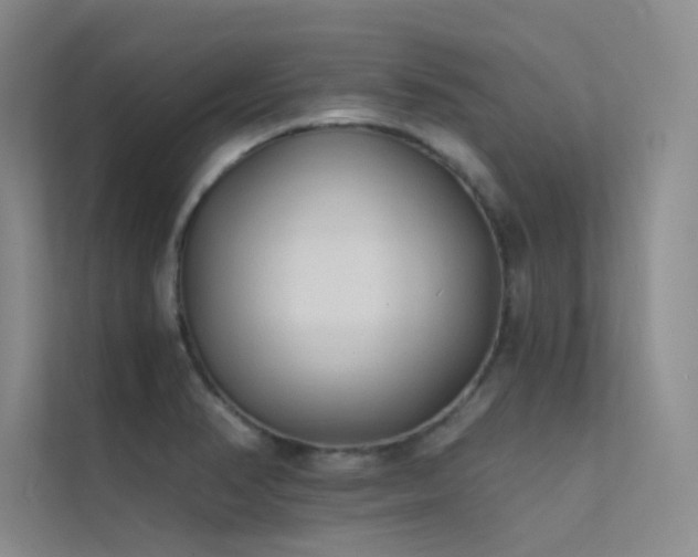X0000112421374200908141402