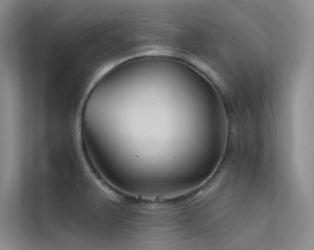 X0000112421375200908141402